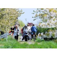 2710_2301 Obstblüte - Ausflugsgebiet Altes Land; Fussgänger, Fahrradfahrer, Motorradfahrer auf dem D | 